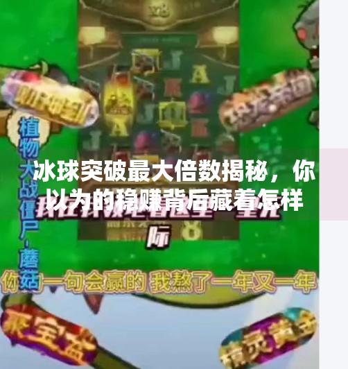 冰球突破最大倍数揭秘，你以为的稳赚背后藏着怎样的风险？冰球突破最大倍数是什么