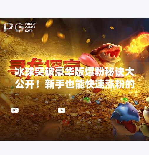 冰球突破豪华版爆粉秘诀大公开!新手也能快速涨粉的5个实操技巧,冰球突破豪华版爆粉技巧