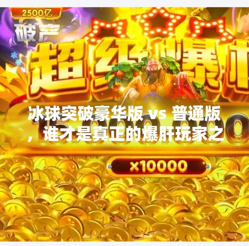 冰球突破豪华版 vs 普通版，谁才是真正的爆肝玩家之选？冰球突破豪华版和普通版